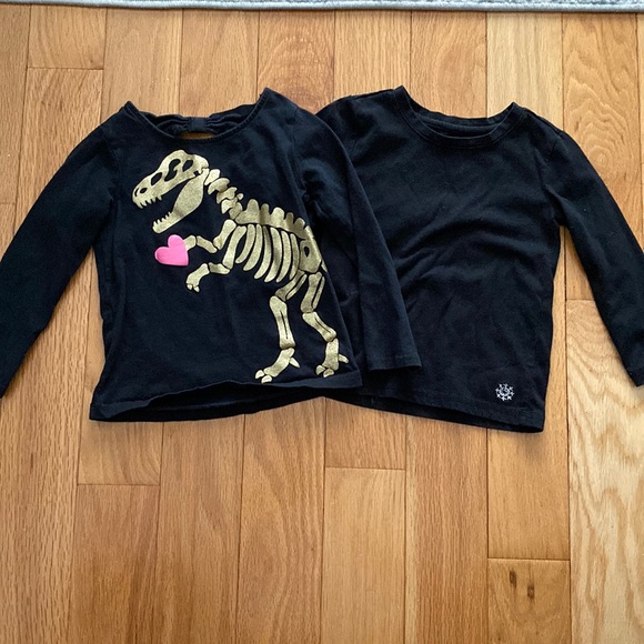 Other - Long sleeve shirt set 2T